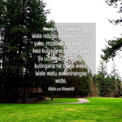 Picture 04 - Mwanzo 43:33 SWHULB - Wale ndugu wakakaa mbele yake, mzaliwa wa kwanza - Bible Verse Picture