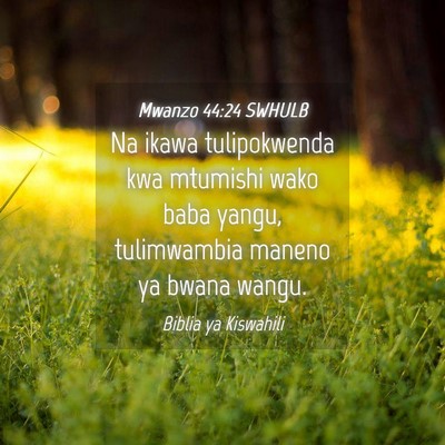 Picture 04 - Mwanzo 44:24 SWHULB - Na ikawa tulipokwenda kwa mtumishi wako baba - Bible Verse Picture