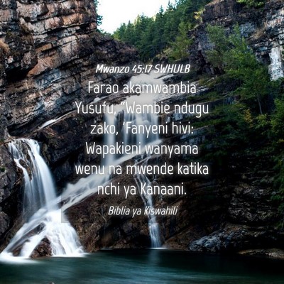 Picture 04 - Mwanzo 45:17 SWHULB - Farao akamwambia Yusufu, “Wambie ndugu zako, - Bible Verse Picture