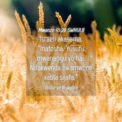 Picture 04 - Mwanzo 45:28 SWHULB - Israeli akasema, “Inatosha. Yusufu mwanangu yu - Bible Verse Picture