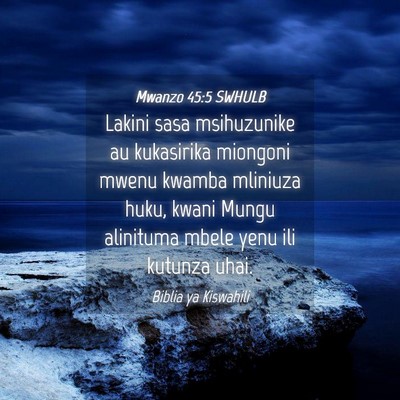 Picture 04 - Mwanzo 45:5 SWHULB - Lakini sasa msihuzunike au kukasirika miongoni - Bible Verse Picture