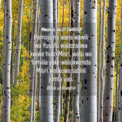 Picture 04 - Mwanzo 46:27 SWHULB - Pamoja na wana wawili wa Yusufu waliozaliwa kwake - Bible Verse Picture