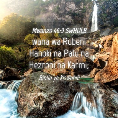 Picture 04 - Mwanzo 46:9 SWHULB - wana wa Rubeni Hanoki na Palu na Hezroni na - Bible Verse Picture
