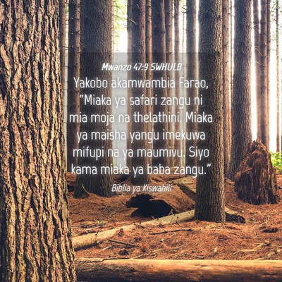 Picture 04 - Mwanzo 47:9 SWHULB - Yakobo akamwambia Farao, “Miaka ya safari zangu - Bible Verse Picture