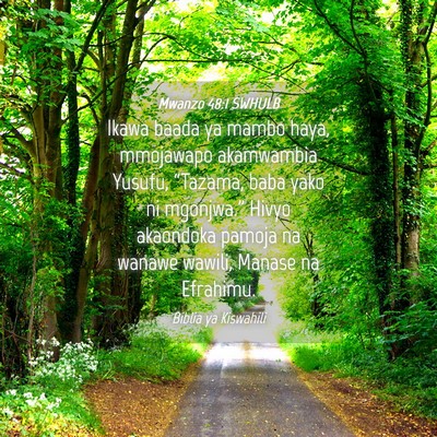 Picture 04 - Mwanzo 48:1 SWHULB - Ikawa baada ya mambo haya, mmojawapo akamwambia - Bible Verse Picture