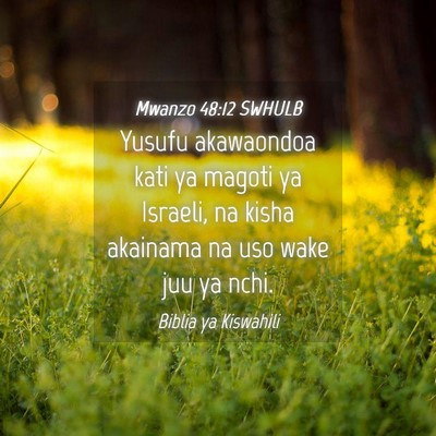 Picture 04 - Mwanzo 48:12 SWHULB - Yusufu akawaondoa kati ya magoti ya Israeli, na - Bible Verse Picture