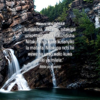 Picture 04 - Mwanzo 48:4 SWHULB - kuniambia, 'Tazama, nitakupa uzao mwingi, na - Bible Verse Picture