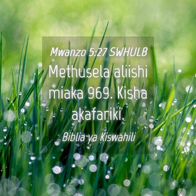 Picture 04 - Mwanzo 5:27 SWHULB - Methusela aliishi miaka 969. Kisha - Bible Verse Picture