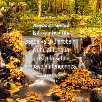 Picture 04 - Mwanzo 8:6 SWHULB - Ikatokea kwamba baada ya siku arobaini Nuhu - Bible Verse Picture