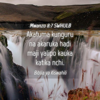Picture 04 - Mwanzo 8:7 SWHULB - Akatuma kunguru na akaruka hadi maji yalipo kauka - Bible Verse Picture