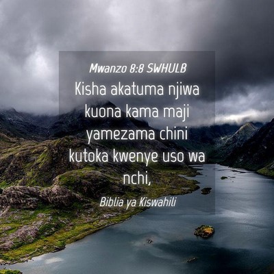 Picture 04 - Mwanzo 8:8 SWHULB - Kisha akatuma njiwa kuona kama maji yamezama - Bible Verse Picture