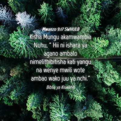 Picture 04 - Mwanzo 9:17 SWHULB - Kisha Mungu akamwambia Nuhu, “ Hii ni ishara ya - Bible Verse Picture