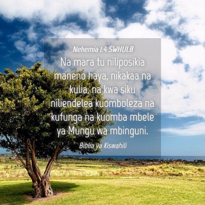 Picture 04 - Nehemia 1:4 SWHULB - Na mara tu niliposikia maneno haya, nikakaa na - Bible Verse Picture