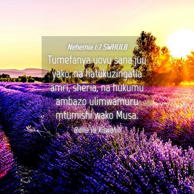 Picture 04 - Nehemia 1:7 SWHULB - Tumefanya uovu sana juu yako, na hatukuzingatia - Bible Verse Picture