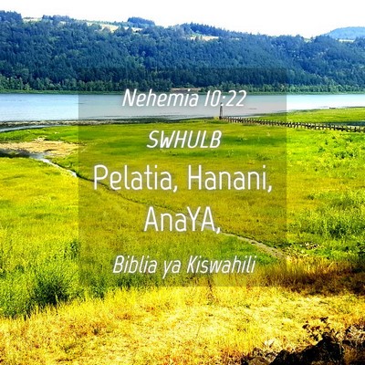 Picture 04 - Nehemia 10:22 SWHULB - Pelatia, Hanani, - Bible Verse Picture