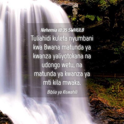 Picture 04 - Nehemia 10:35 SWHULB - Tuliahidi kuleta nyumbani kwa Bwana matunda ya - Bible Verse Picture