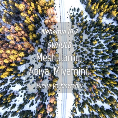 Picture 04 - Nehemia 10:7 SWHULB - Meshulamu, Abiya, - Bible Verse Picture