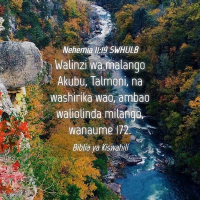 Picture 04 - Nehemia 11:19 SWHULB - Walinzi wa malango Akubu, Talmoni, na washirika - Bible Verse Picture