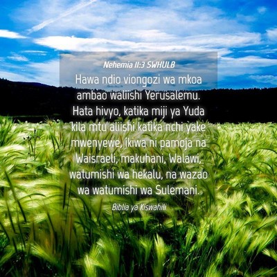 Picture 04 - Nehemia 11:3 SWHULB - Hawa ndio viongozi wa mkoa ambao waliishi - Bible Verse Picture