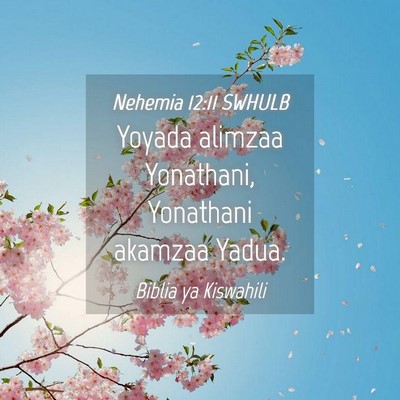 Picture 04 - Nehemia 12:11 SWHULB - Yoyada alimzaa Yonathani, Yonathani akamzaa - Bible Verse Picture