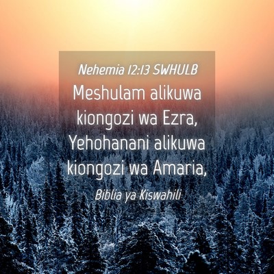 Picture 04 - Nehemia 12:13 SWHULB - Meshulam alikuwa kiongozi wa Ezra, Yehohanani - Bible Verse Picture