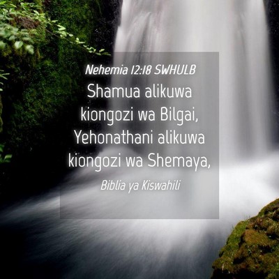 Picture 04 - Nehemia 12:18 SWHULB - Shamua alikuwa kiongozi wa Bilgai, Yehonathani - Bible Verse Picture