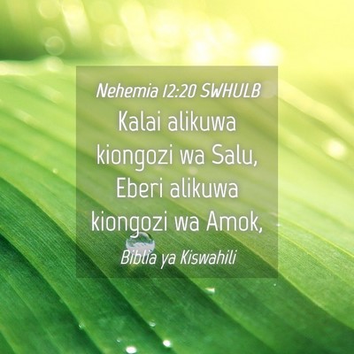 Picture 04 - Nehemia 12:20 SWHULB - Kalai alikuwa kiongozi wa Salu, Eberi alikuwa - Bible Verse Picture