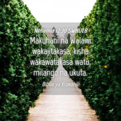 Picture 04 - Nehemia 12:30 SWHULB - Makuhani na Walawi wakajitakasa, kisha - Bible Verse Picture
