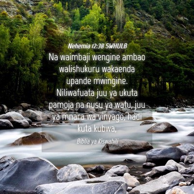 Picture 04 - Nehemia 12:38 SWHULB - Na waimbaji wengine ambao walishukuru wakaenda - Bible Verse Picture