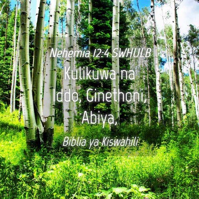 Picture 04 - Nehemia 12:4 SWHULB - Kulikuwa na Iddo, Ginethoni, - Bible Verse Picture