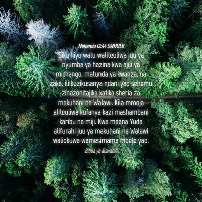 Picture 04 - Nehemia 12:44 SWHULB - Siku hiyo watu waliteuliwa juu ya nyumba ya - Bible Verse Picture