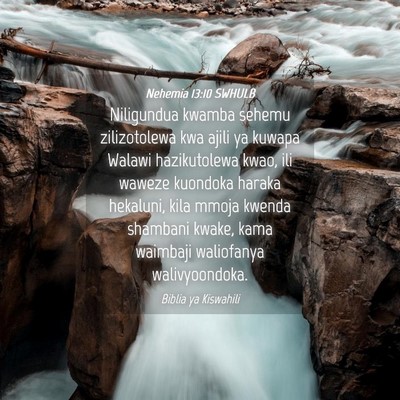 Picture 04 - Nehemia 13:10 SWHULB - Niligundua kwamba sehemu zilizotolewa kwa ajili - Bible Verse Picture