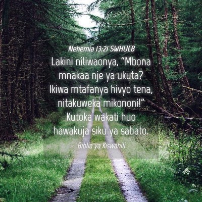 Picture 04 - Nehemia 13:21 SWHULB - Lakini niliwaonya, “Mbona mnakaa nje ya ukuta? - Bible Verse Picture