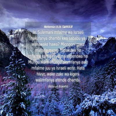 Picture 04 - Nehemia 13:26 SWHULB - Je, Sulemani mfalme wa Israeli hakufanya dhambi - Bible Verse Picture