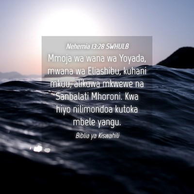 Picture 04 - Nehemia 13:28 SWHULB - Mmoja wa wana wa Yoyada, mwana wa Eliashibu, - Bible Verse Picture