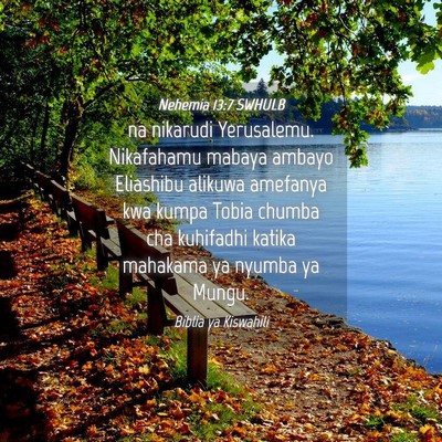 Picture 04 - Nehemia 13:7 SWHULB - na nikarudi Yerusalemu. Nikafahamu mabaya ambayo - Bible Verse Picture