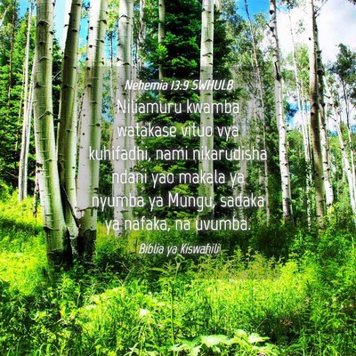 Picture 04 - Nehemia 13:9 SWHULB - Niliamuru kwamba watakase vituo vya kuhifadhi, - Bible Verse Picture