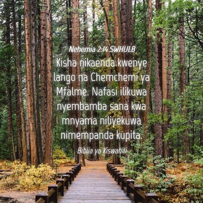 Picture 04 - Nehemia 2:14 SWHULB - Kisha nikaenda kwenye lango na Chemchemi ya - Bible Verse Picture