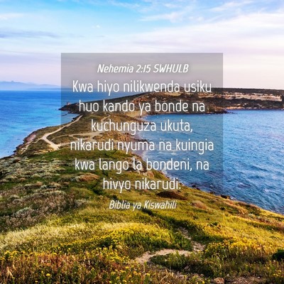 Picture 04 - Nehemia 2:15 SWHULB - Kwa hiyo nilikwenda usiku huo kando ya bonde na - Bible Verse Picture