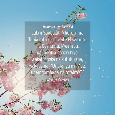 Picture 04 - Nehemia 2:19 SWHULB - Lakini Sanbalati Mhoroni, na Tobia mtumishi wake - Bible Verse Picture