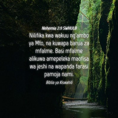 Picture 04 - Nehemia 2:9 SWHULB - Nilifika kwa wakuu ng'ambo ya Mto, na kuwapa - Bible Verse Picture