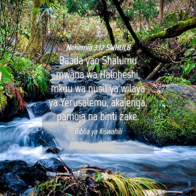 Picture 04 - Nehemia 3:12 SWHULB - Baada yao Shalumu mwana wa Haloheshi, mkuu wa - Bible Verse Picture