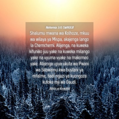 Picture 04 - Nehemia 3:15 SWHULB - Shalumu mwana wa Kolhoze, mkuu wa wilaya ya - Bible Verse Picture
