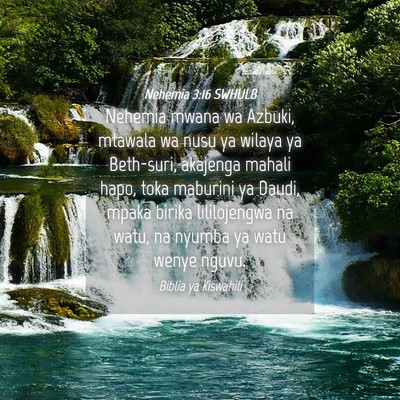 Picture 04 - Nehemia 3:16 SWHULB - Nehemia mwana wa Azbuki, mtawala wa nusu ya - Bible Verse Picture