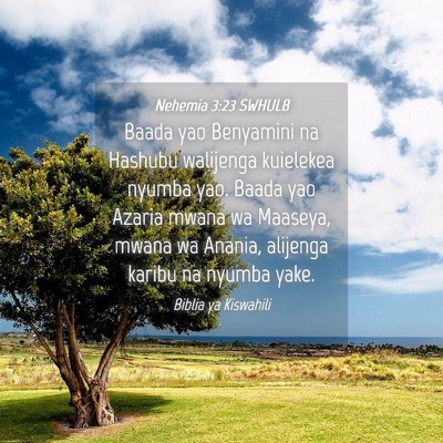 Picture 04 - Nehemia 3:23 SWHULB - Baada yao Benyamini na Hashubu walijenga - Bible Verse Picture