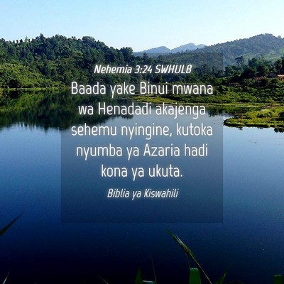 Picture 04 - Nehemia 3:24 SWHULB - Baada yake Binui mwana wa Henadadi akajenga - Bible Verse Picture