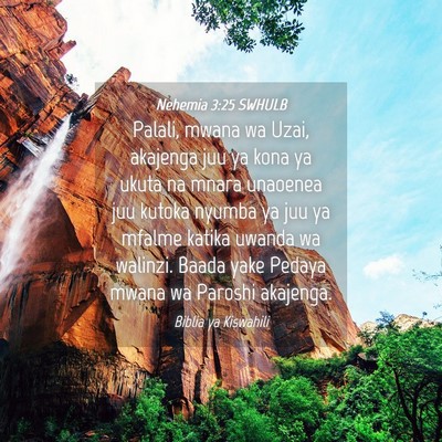 Picture 04 - Nehemia 3:25 SWHULB - Palali, mwana wa Uzai, akajenga juu ya kona ya - Bible Verse Picture