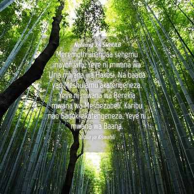 Picture 04 - Nehemia 3:4 SWHULB - Meremoth aliandaa sehemu inayofuata. Yeye ni - Bible Verse Picture