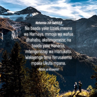 Picture 04 - Nehemia 3:8 SWHULB - Na baada yake Uzieli mwana wa Harhaya, mmoja wa - Bible Verse Picture