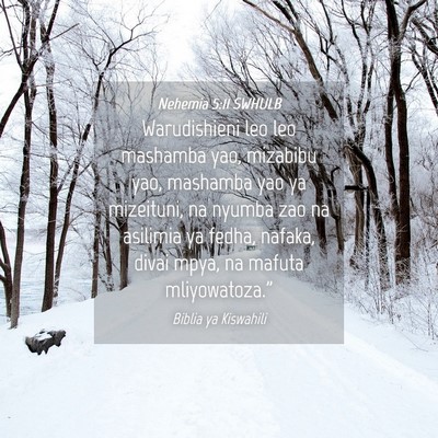 Picture 04 - Nehemia 5:11 SWHULB - Warudishieni leo leo mashamba yao, mizabibu yao, - Bible Verse Picture